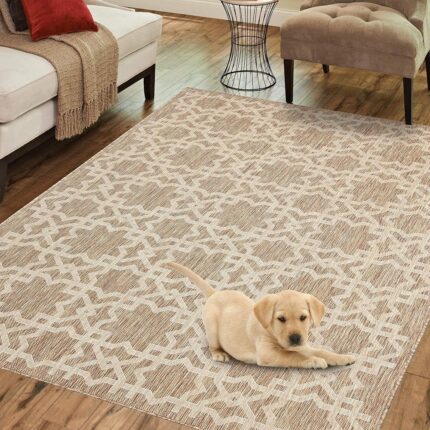 PRIYATE Florida Collection Rugs with Non-Slip | Indoor/Outdoor, Living Room, Bedroom, Hall, Study Room & More | Easy Clean Material | Home Décor & Floor Decoration Carpet Mat...
