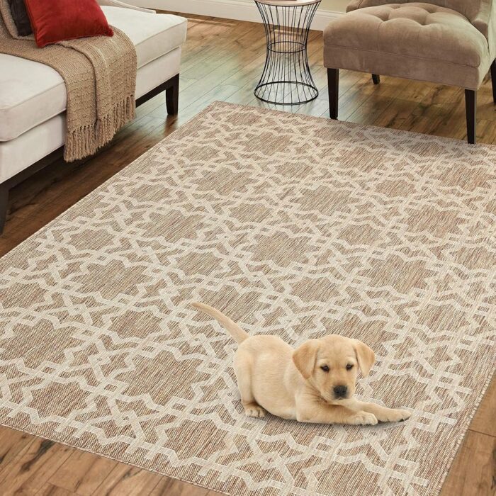 PRIYATE Florida Collection Rugs with Non-Slip | Indoor/Outdoor, Living Room, Bedroom, Hall, Study Room & More | Easy Clean Material | Home Décor & Floor Decoration Carpet Mat...