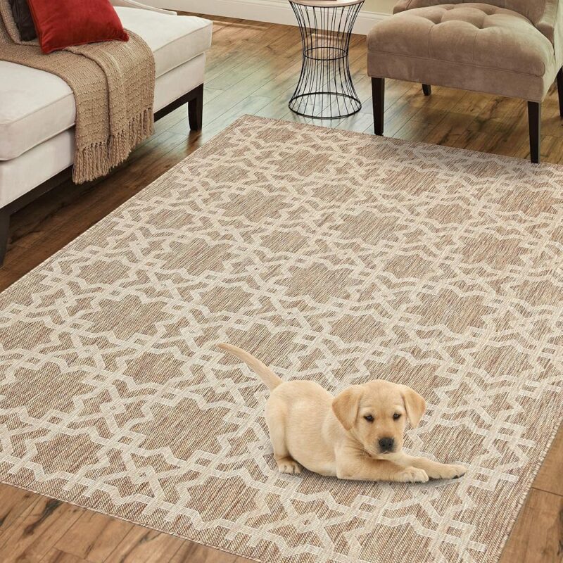 PRIYATE Florida Collection Rugs with Non-Slip | Indoor/Outdoor, Living Room, Bedroom, Hall, Study Room & More | Easy Clean Material | Home Décor & Floor Decoration Carpet Mat...